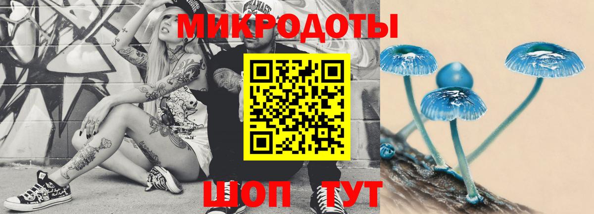 Дзержинск  Галлюциногенные грибы Psilocybine cubensis  Вход с VPN 